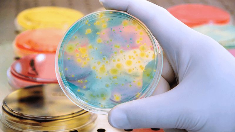 北京生物医药产业园选址，如何选择合适的合作伙伴？**