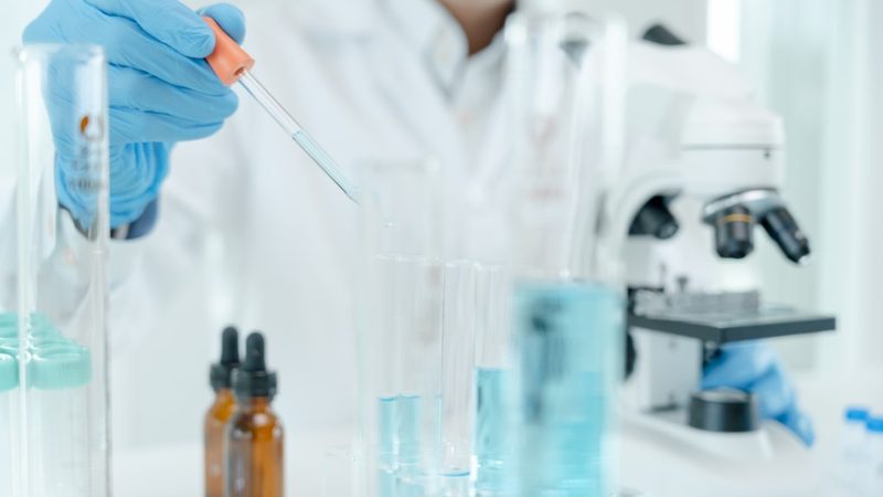 磷酸化抗体WB二抗匹配：关键因素与选择策略**