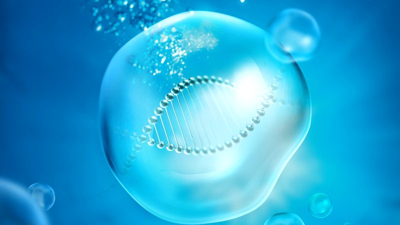 细胞培养基与微生物培养基：差异与选择要点