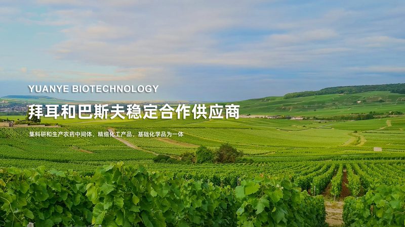 生物医药公司实力对比：揭秘评估关键要素