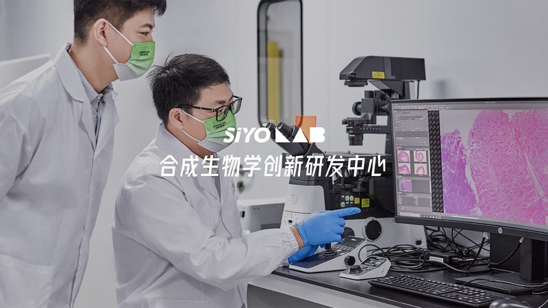 北京生物试剂报价单模板：解读关键要素与选购要点**