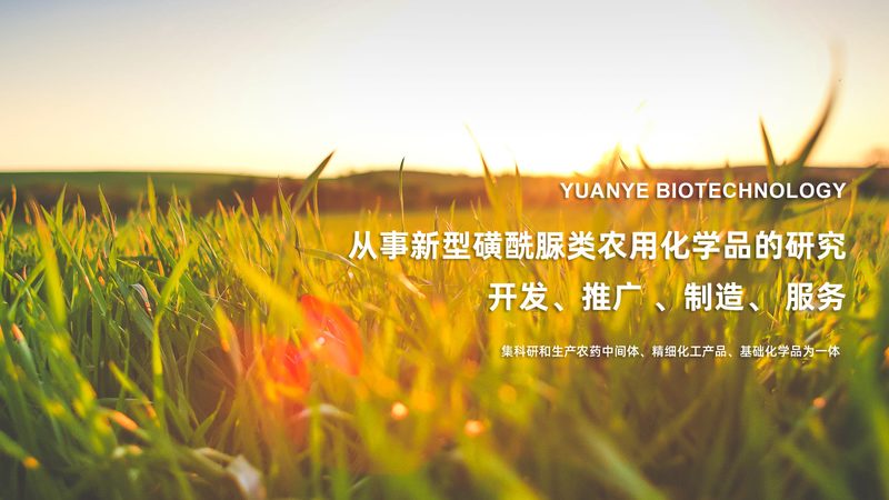引物合成：关键步骤与长度选择要点解析**