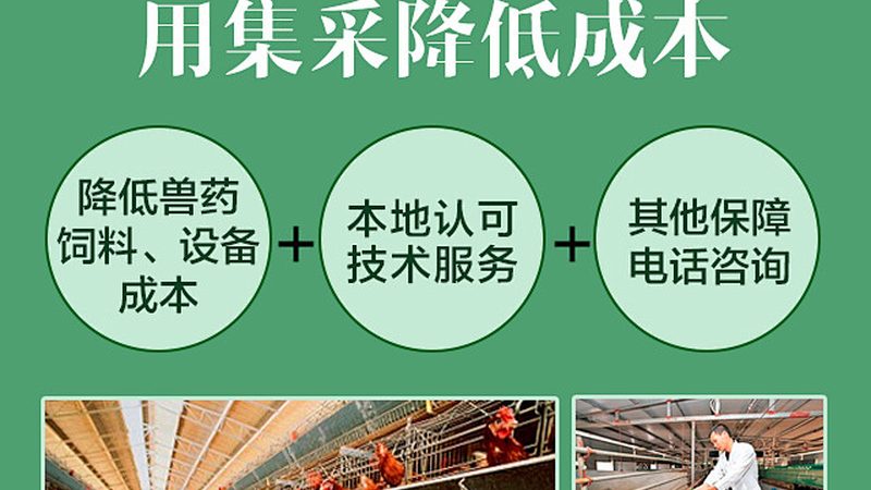 细胞工厂定制流程：揭秘生物医药生产的精密之旅