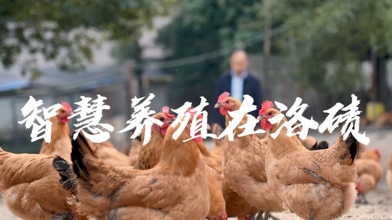 生物医药外包项目评估步骤：如何确保研发质量与合规性