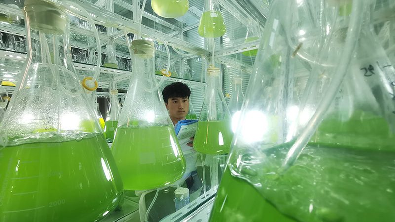 医院做PCR检测要等几个小时